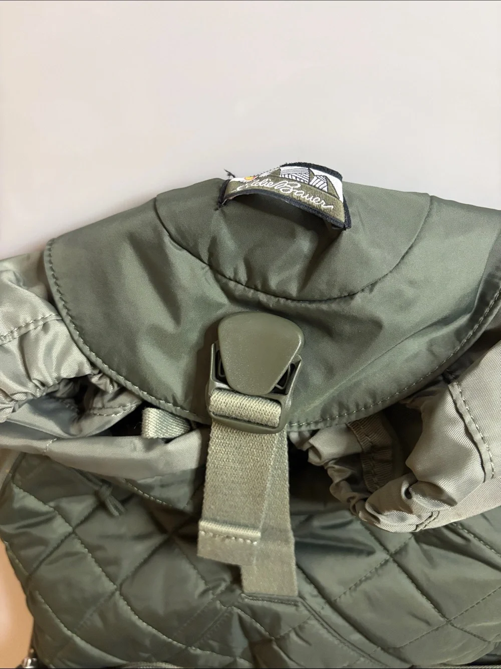 Eddie Bauer Multi Function Olive Green Backpack - Rugged Everyday Carry